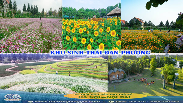 Sân bay Nội Bài đi khu sinh thái Đan Phượng Hà Nội