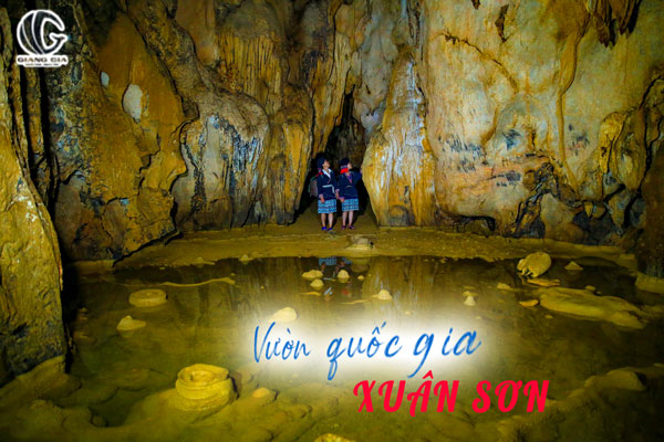 Hang động trong vườn quốc gia Xuân Sơn Phú Thọ