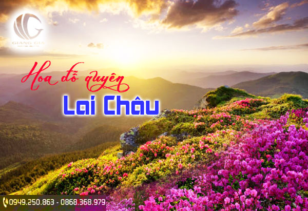 Hoa đỗ quyên trên đỉnh Pu Si Lung du lịch Lai Châu