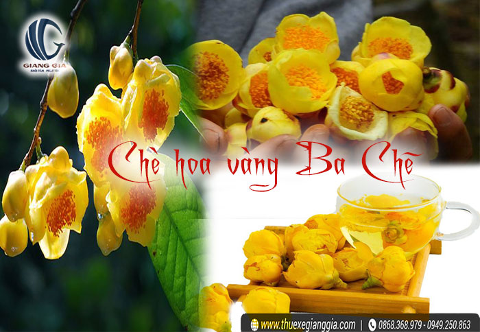 Đặc sản chè hoa vàng Ba Chẽ Quảng Ninh