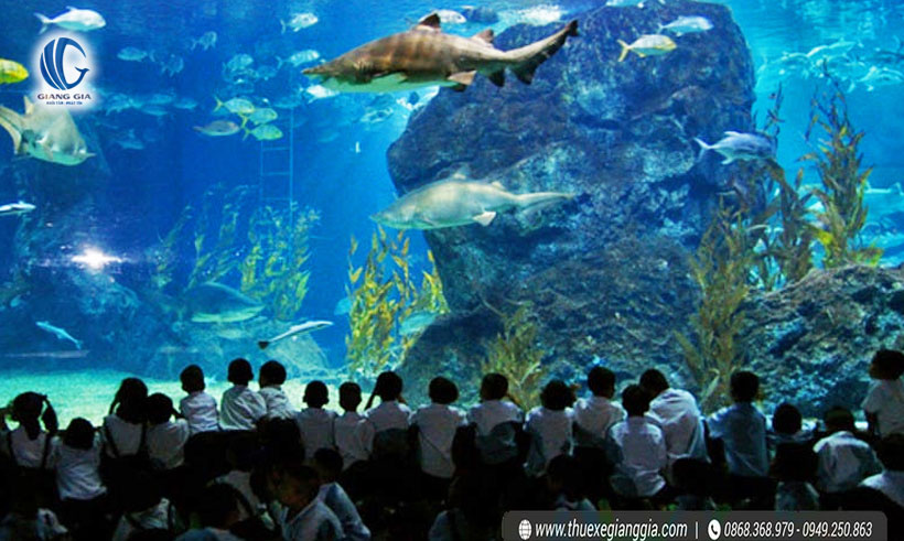 Thủy cung Vinpearl Aquarium Time City
